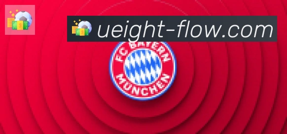 U8国际合作伙伴