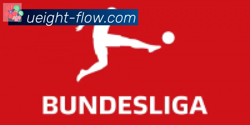 U8国际合作伙伴