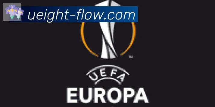 U8国际合作伙伴